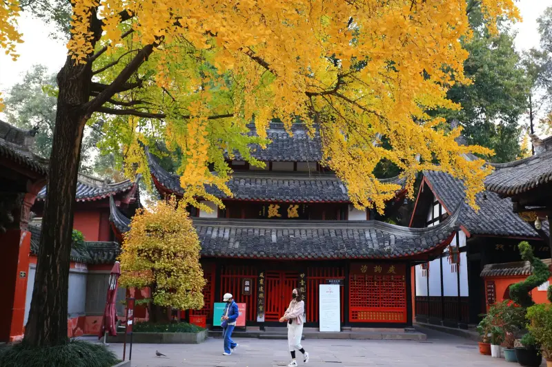 工业废气处理设备选型指南：活性炭吸附与催化燃烧工艺对比分析