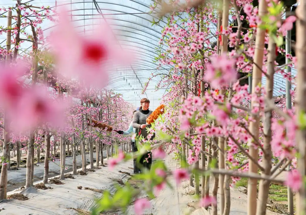工业废气处理技术升级路线：RTO与催化燃烧方案对比分析