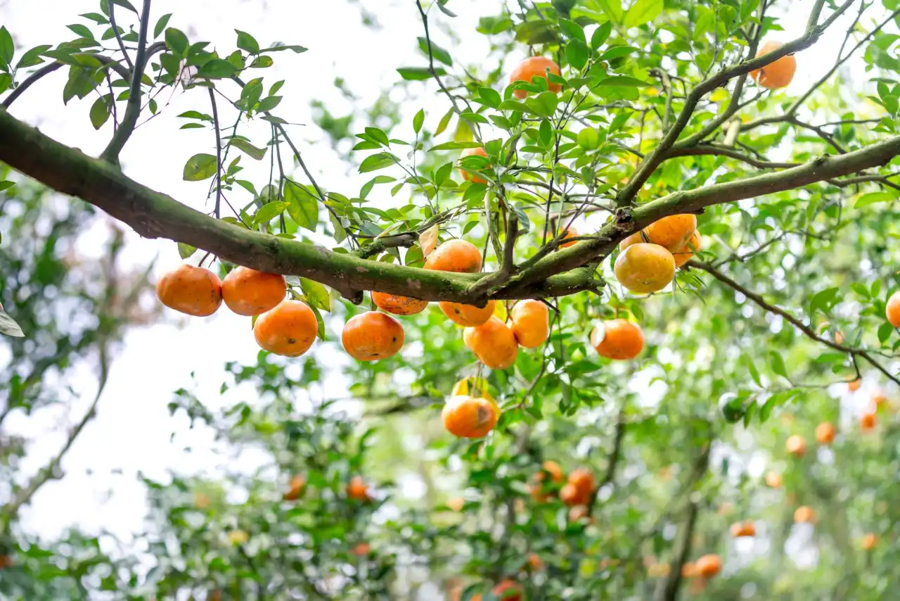深圳工业企业废气处理达标排放技术要点及设备选型分析