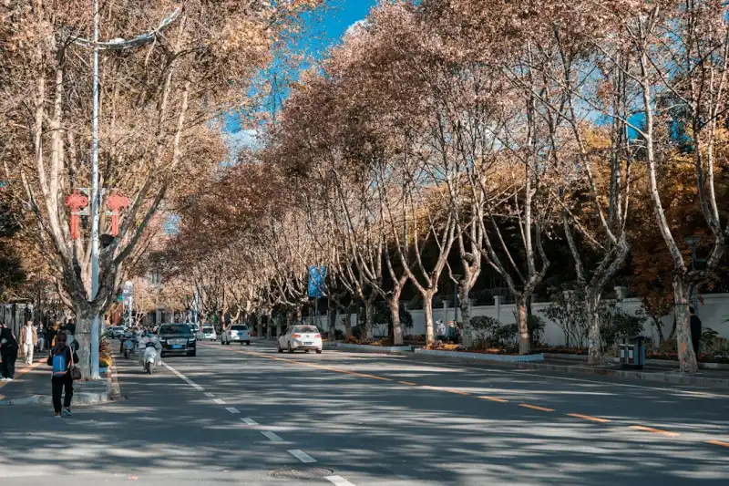 深圳市大族环保科技解析：工业废气处理设备如何实现高效达标排放